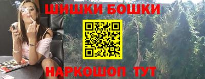 МДПВ Татарск