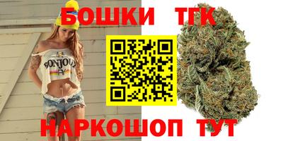 МДПВ Татарск