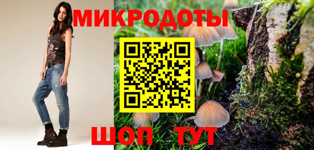 Псилоцибиновые грибы Cubensis Новоалександровск
