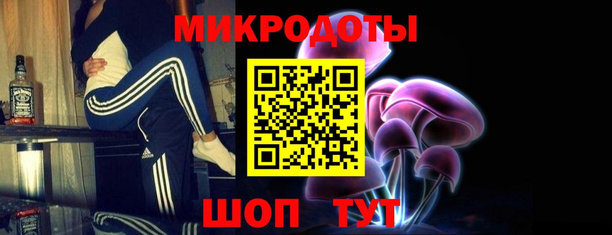 Псилоцибиновые грибы Psilocybe  Псилоцибиновые грибы GOLDEN TEACHER  Новоалександровск  Вход с VPN 